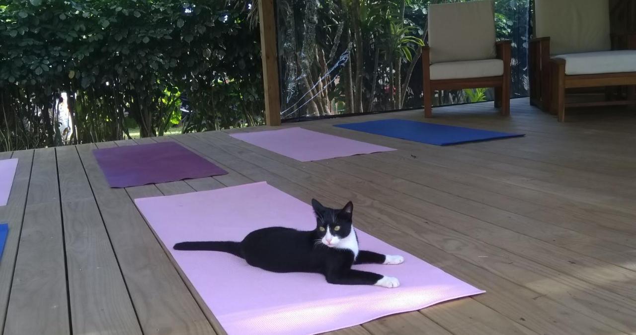 Hotel Ikurangi Eco Retreat Rarotonga Zewnętrze zdjęcie